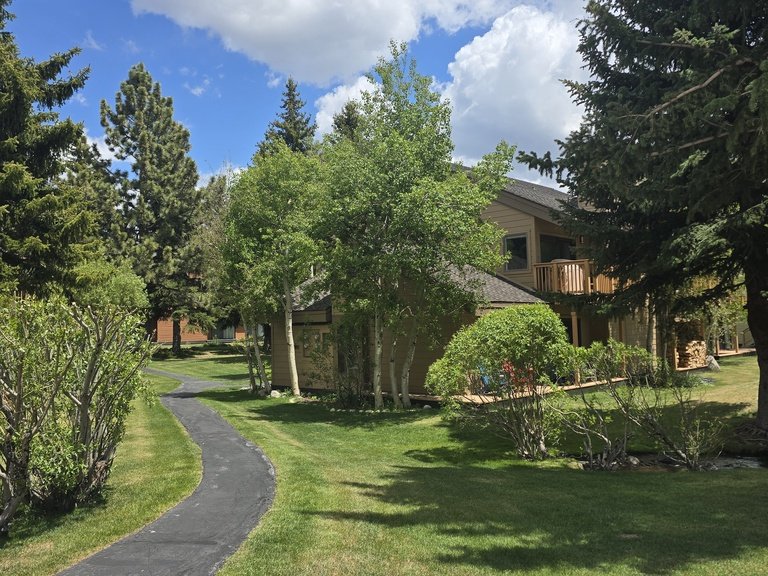 Snowcreek Resort Vacation Rental 217 — photo 3