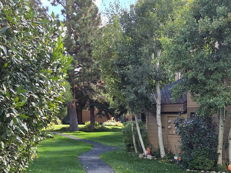 Snowcreek Resort Vacation Rental 217 — photo 4