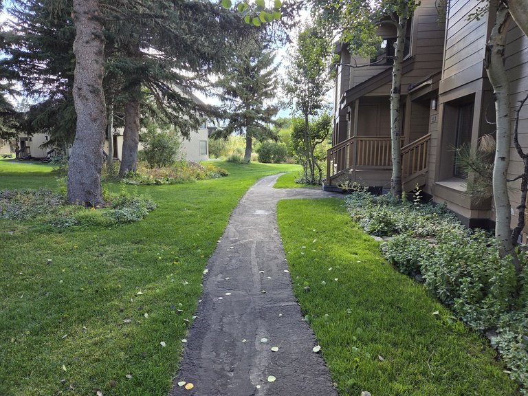 Snowcreek Resort Vacation Rental 217 — photo 5