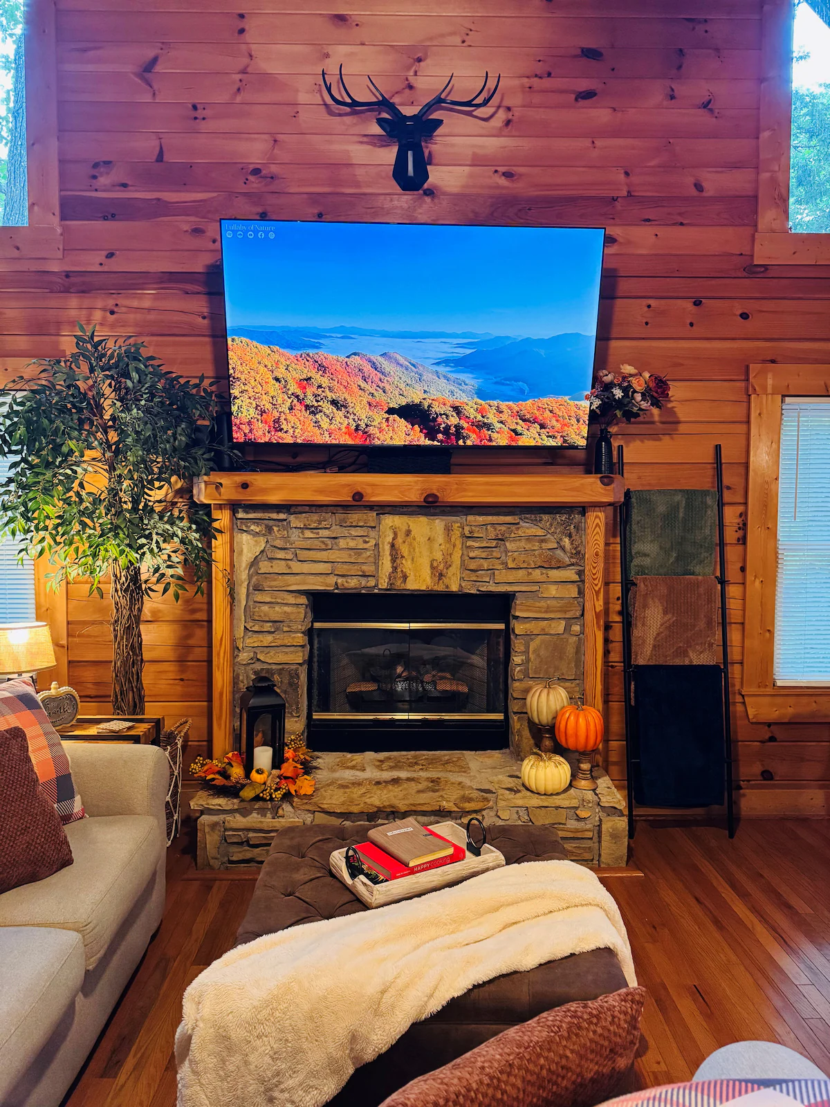 Weekday Specials•3BR Cabin•Hot Tub•Bunk/Tent Room — photo 3