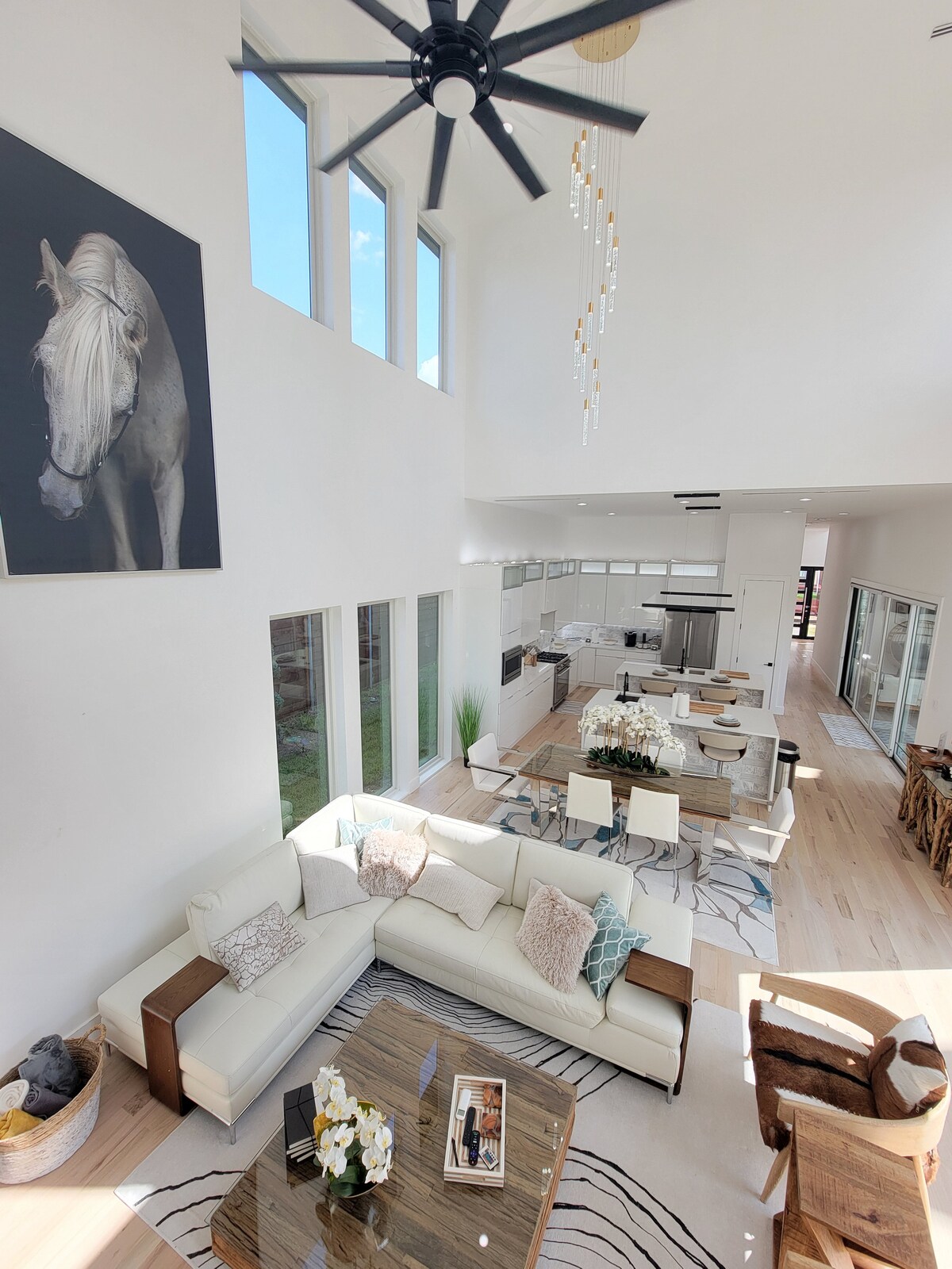 Dallas Luxury Modern House — photo 3