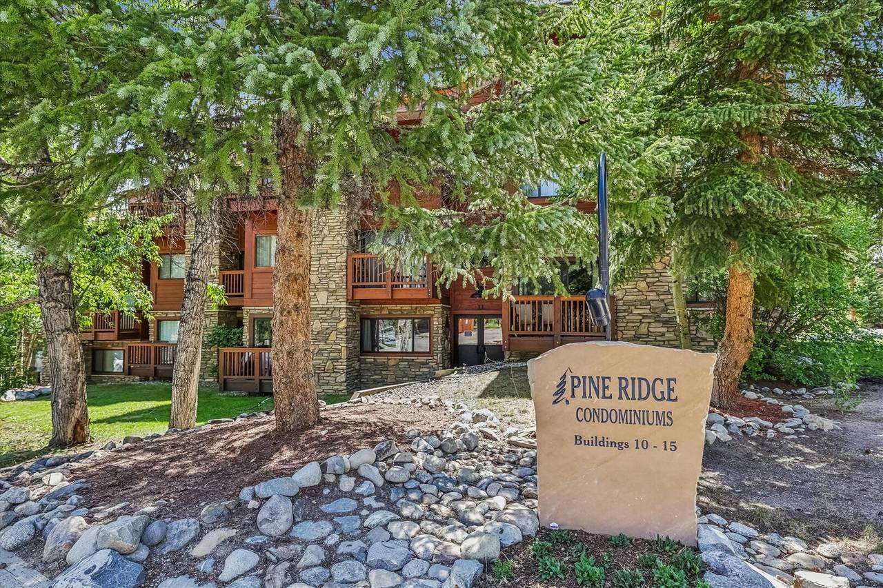 Pine Ridge 11E — photo 4