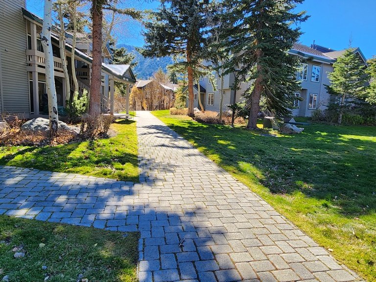 Snowcreek Resort Vacation Rental 629 — photo 4