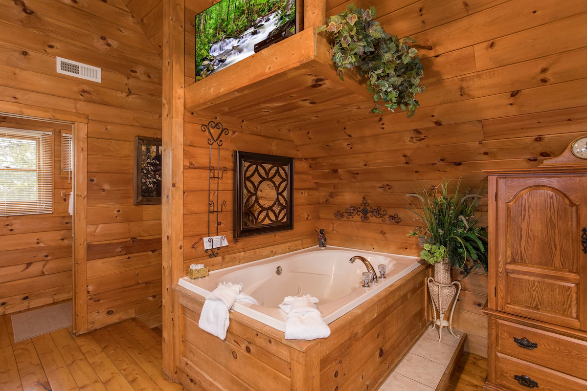 Romantic 1-Bedroom Cabin with Jacuzzi — photo 3