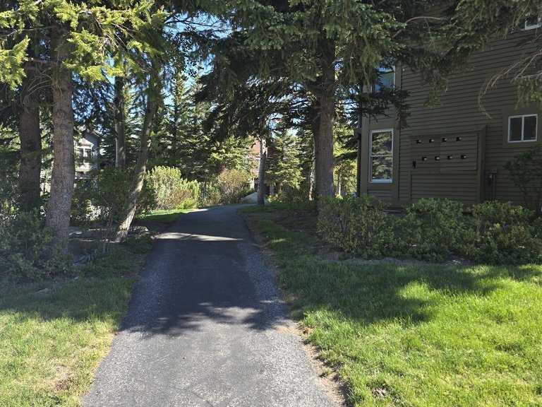 Snowcreek Resort Vacation Rental 903 — photo 3