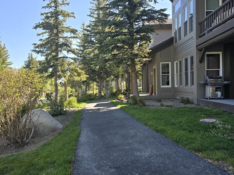 Snowcreek Resort Vacation Rental 903 — photo 4