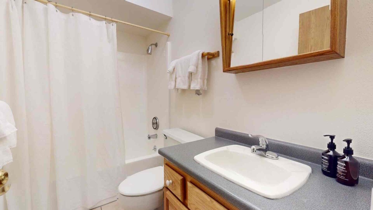 Enzian 115 - 3 Bedroom Silver — photo 5
