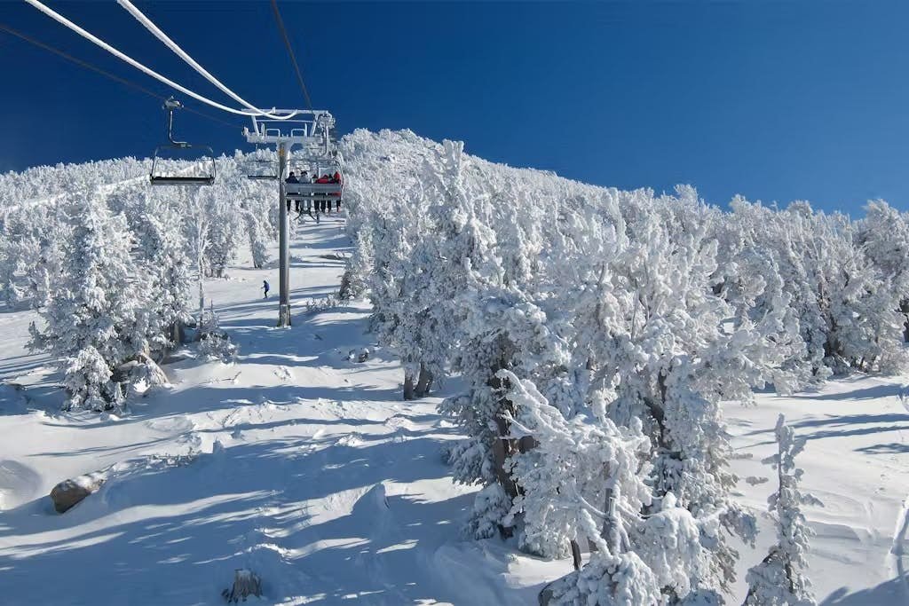 Snowcreek 847 — photo 3