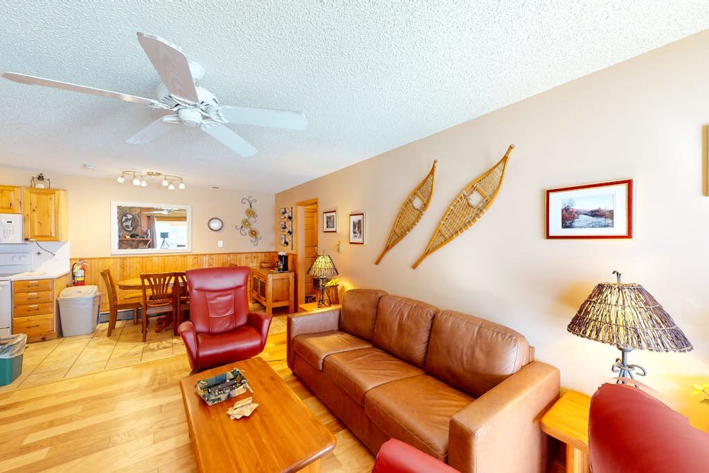 Ski Inn 235 — photo 4