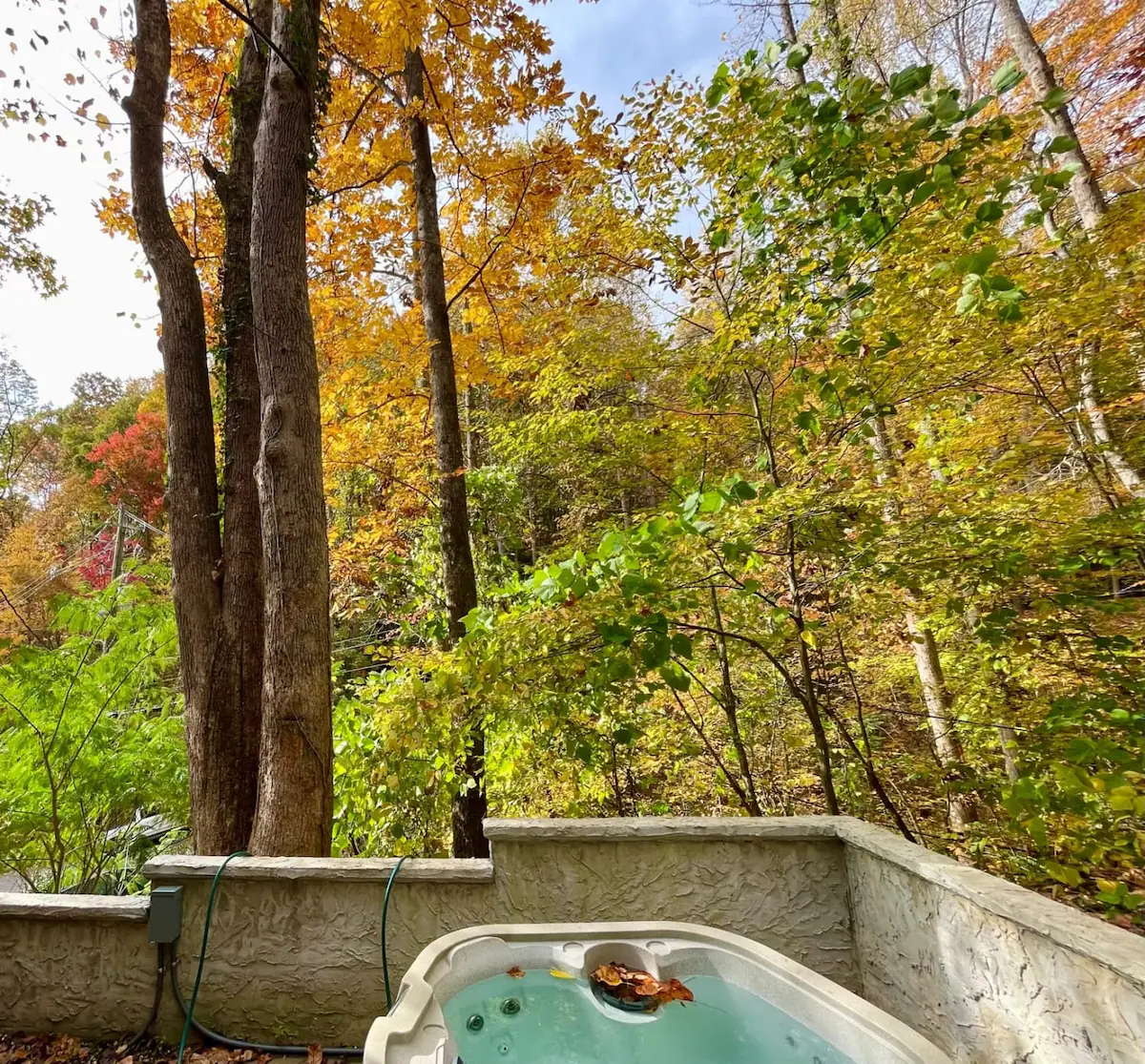 1 Mile 2 DwTn Gatlinburg/Park-Like Setting/Rustic — photo 3
