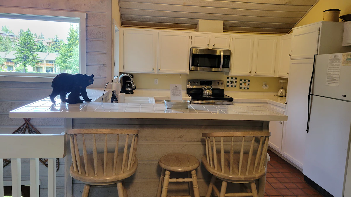 Snowcreek Resort Vacation Rental 302 — photo 4