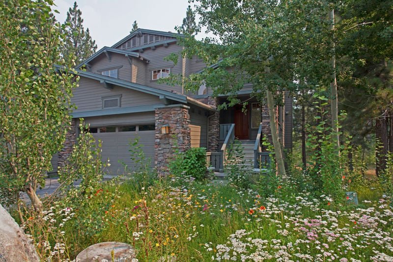 Timbers #1033 — photo 2