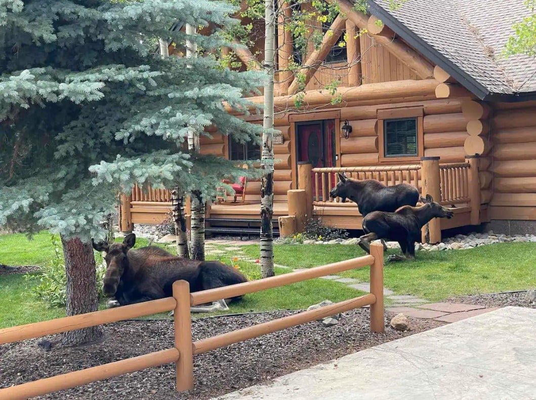 Luminary Log Chalet — photo 2