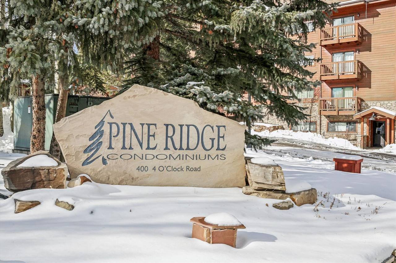 Pine Ridge 5F — photo 4